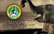 balisafari