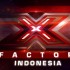 x-factor thumbnail
