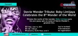 stevie wonder tribute2