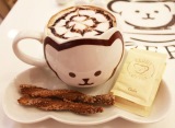 teddy coffe