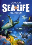 London Sea Life Aquarium