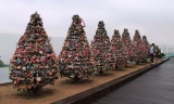 “Locks of Love”