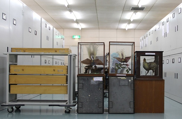 Pameran 125.660 Spesimen